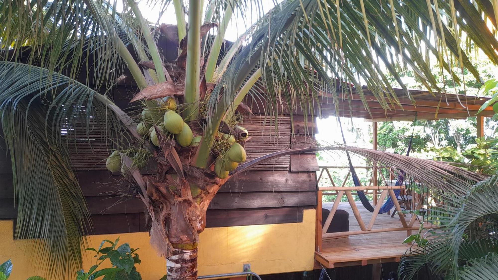 Casa Gio Vila Puerto Escondido  Quarto foto